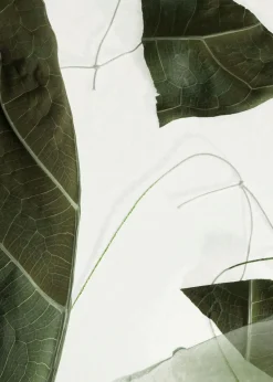 Outlet Arabesque Wood Body Lotion Kvinder Bad & Krop