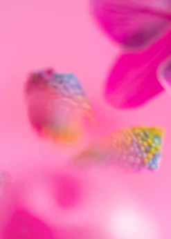 New Body Lotion Kvinder Bad & Krop