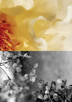 Best Digt En Dag Eau De Toilette Kvinder Dufte