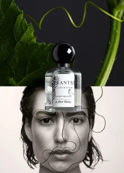 Store Eau De Toilette Kvinder Bad & Krop