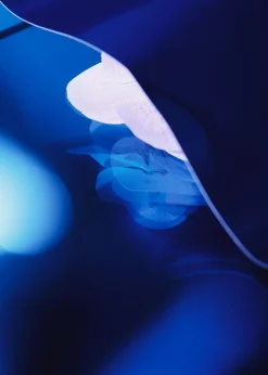 Discount Handcreme Kvinder Bad & Krop