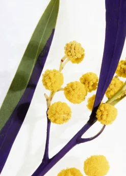 Discount Handlotion Kvinder Bad & Krop