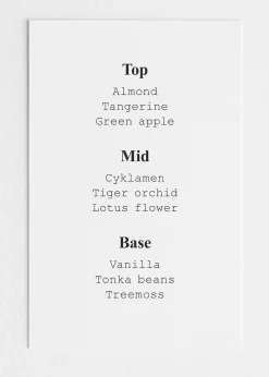 Cheap Punk Bouquet Mini Body Mist Kvinder Dufte